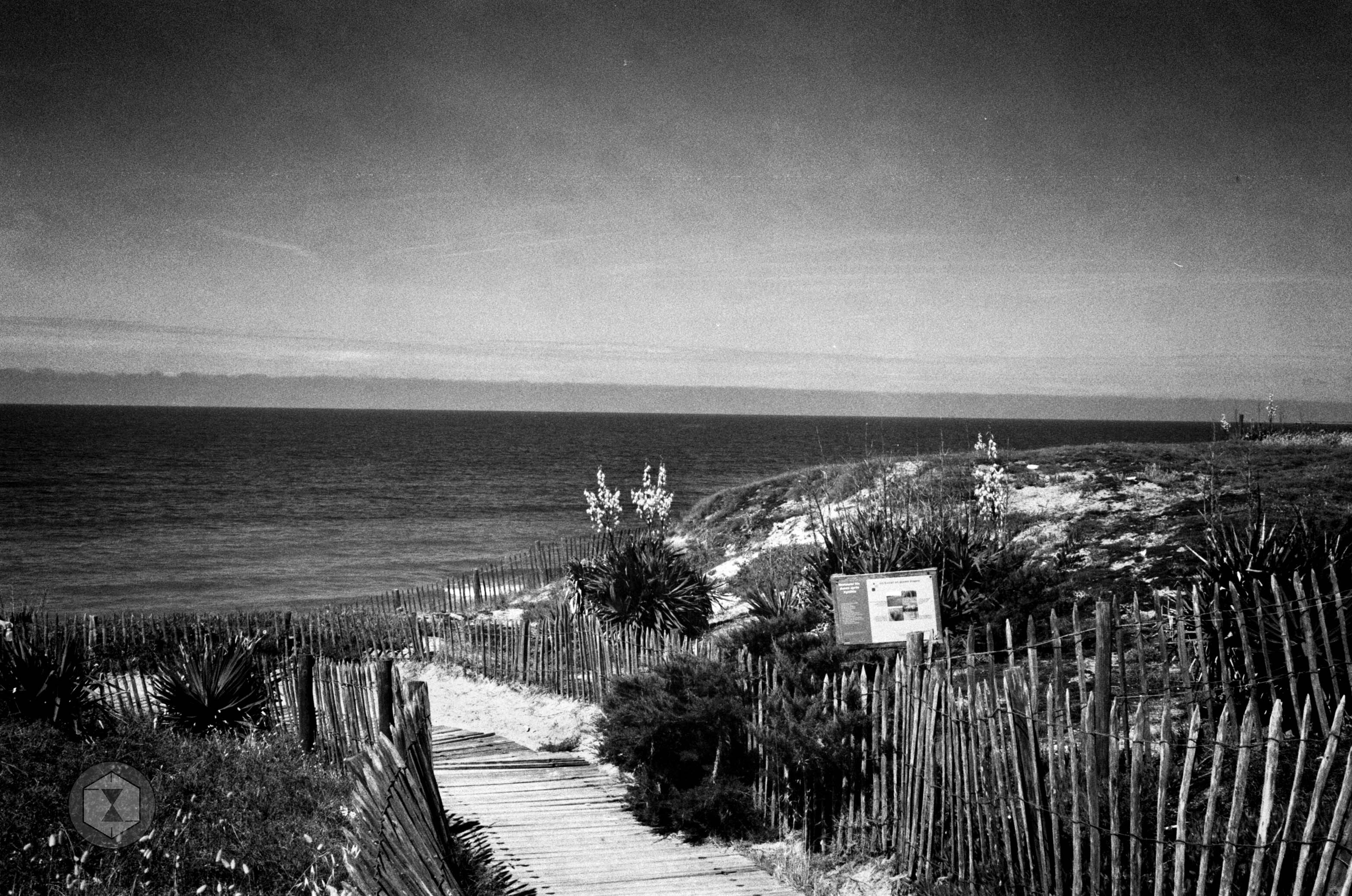 Mer argentique_68611215e7e73