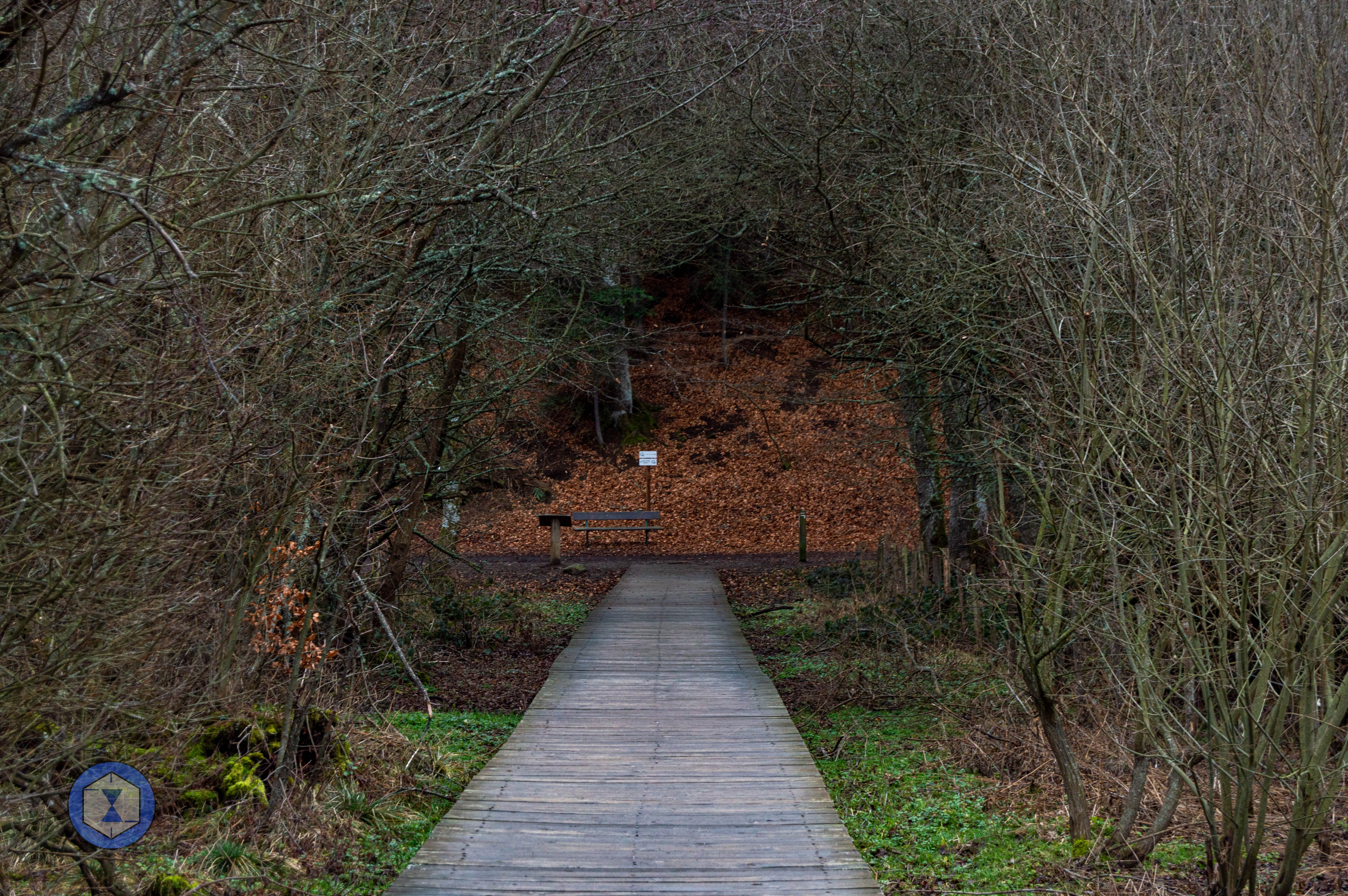 Super besse_6861139be2ad2