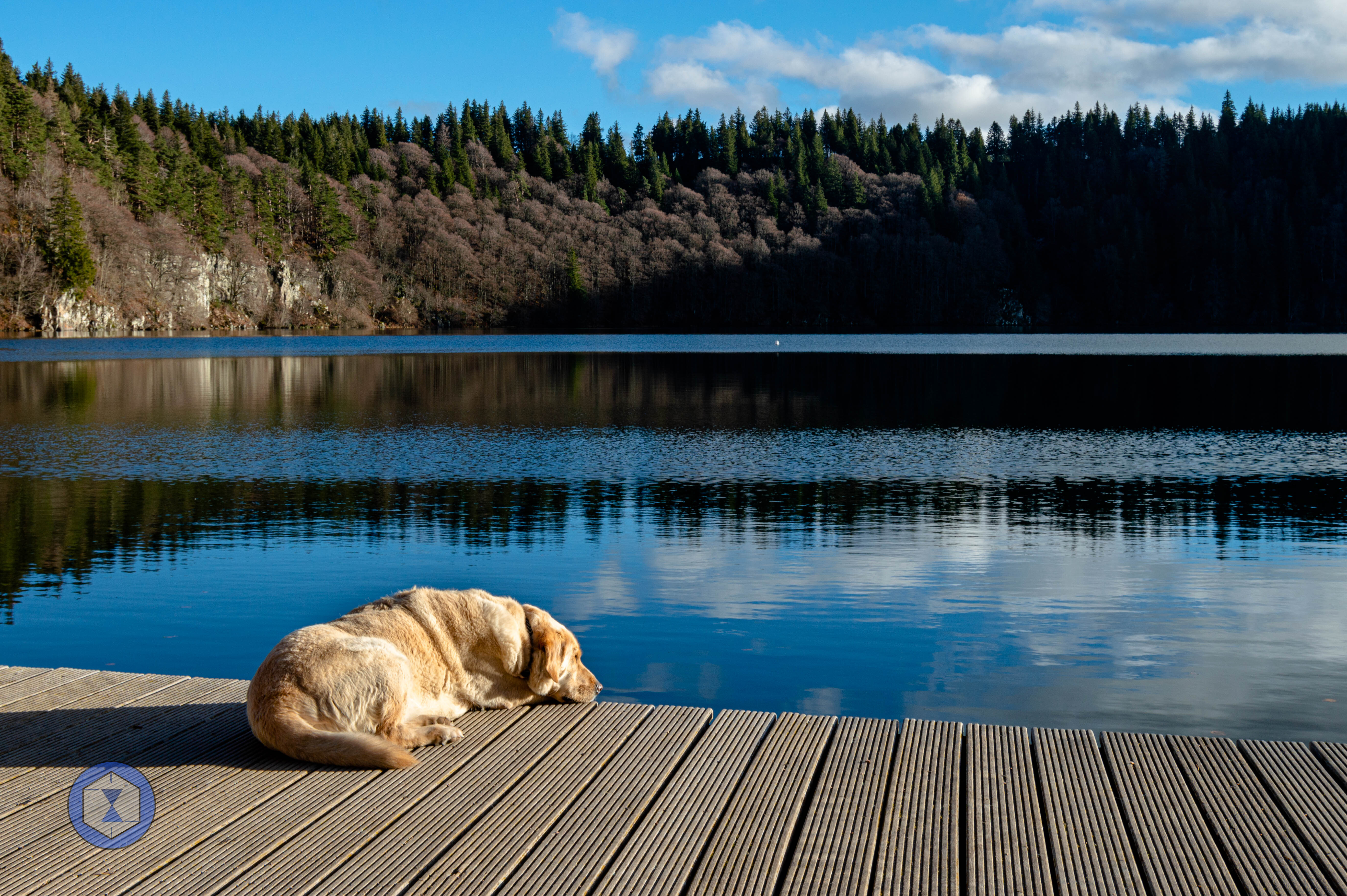 Super_Besse_68e24aa81cc4a